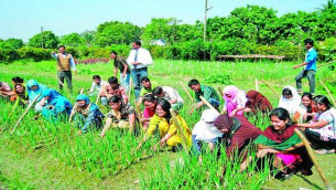 কৃষি বিশ্ববিদ্যালয়ে পড়তে চান?