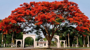 ইবি শিক্ষক সমিতির নির্বাচন ১২ ডিসেম্বর, চূড়ান্ত প্রার্থী ঘোষণা