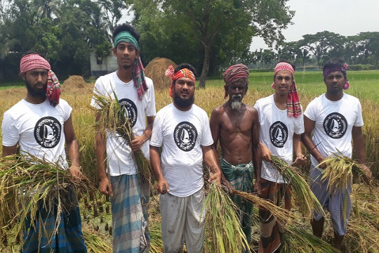 ঈদের বন্ধে ধান কেটে দিল পবিপ্রবি ছাত্রলীগ কর্মীরা