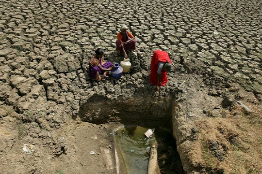 ভারতে তীব্র গরমে একদিনেই ৪০ জনের মৃত্যু