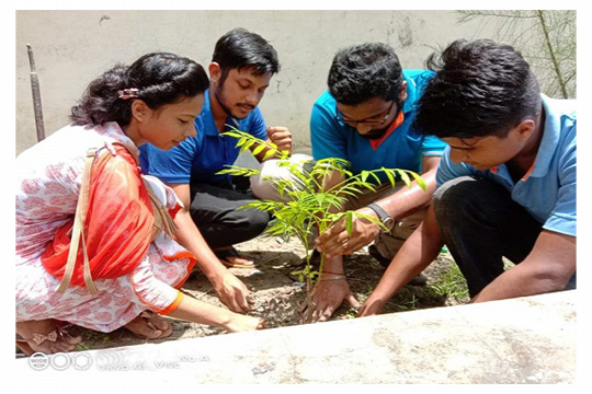 বিদ্যালয়ের সৌন্দর্য বৃদ্ধিতে গাছ লাগাল নবযাত্রা