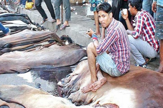 পাটের মত চামড়া নিয়েও ষড়যন্ত্র!