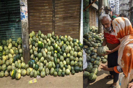 ট্রাকভর্তি খাদ্যসামগ্রী কিনে রাস্তায় ফেলে রাখছে বিদ্যানন্দ!