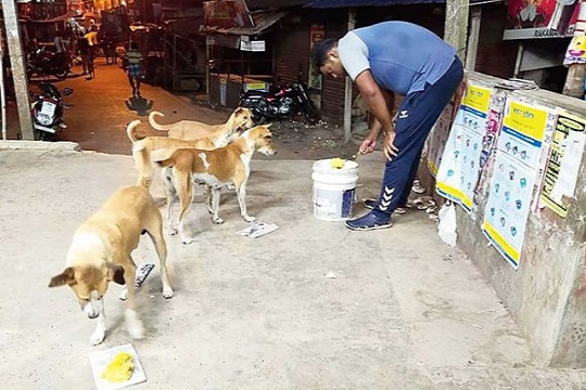 বেতনের টাকা তুলে পথকুকুরদের খাবার দিচ্ছেন স্কুলশিক্ষক