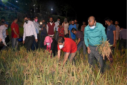  মধ্যরাতে কাস্তে হাতে কৃষকের ধান কাটলেন ডিসি! 