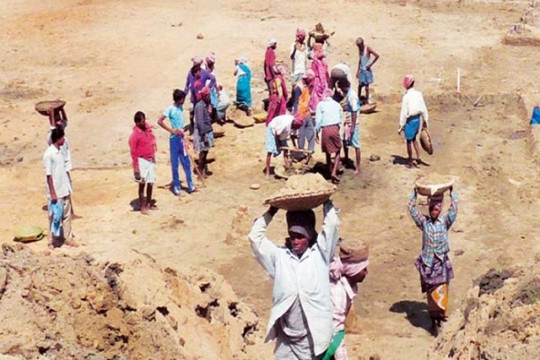 ১০০ দিন কাজের আবেদন পলিটেকনিক ছাত্রীর