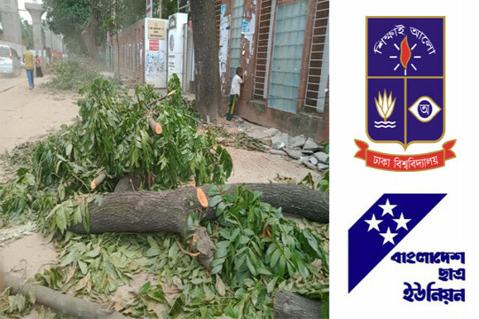 ‘লকডাউনে নির্বিচার গাছ কেটে ঢাবির প্রাণ-প্রকৃতি ধ্বংস করছে প্রশাসন’