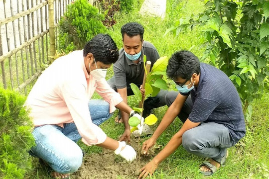 মুজিববর্ষ উপলক্ষে চুয়েট ছাত্রলীগের বৃক্ষরোপণ কর্মসূচি