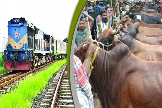 ট্রেনে চড়বে কোরবানির পশু