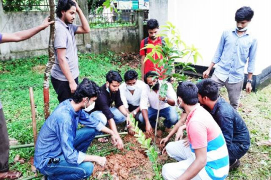 ক্যাম্পাসে ৬৫০টি ফলের চারা রোপণ করেছে কুবি ছাত্রলীগ