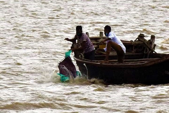 নদীতে ফেলা হচ্ছে করোনা-মৃতদেহ, সোশ্যাল মিডিয়ার ছবি নিয়ে তোলপাড়