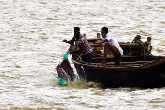 ভারতে নদীতে ছুঁড়ে ফেলা হচ্ছে করোনা রোগীর লাশ!