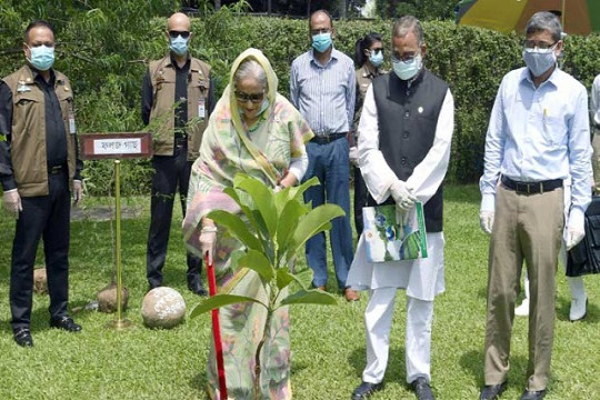 সারাদেশে ১ কোটি বৃক্ষের চারা রোপণ কর্মসূচির উদ্বোধন প্রধানমন্ত্রীর