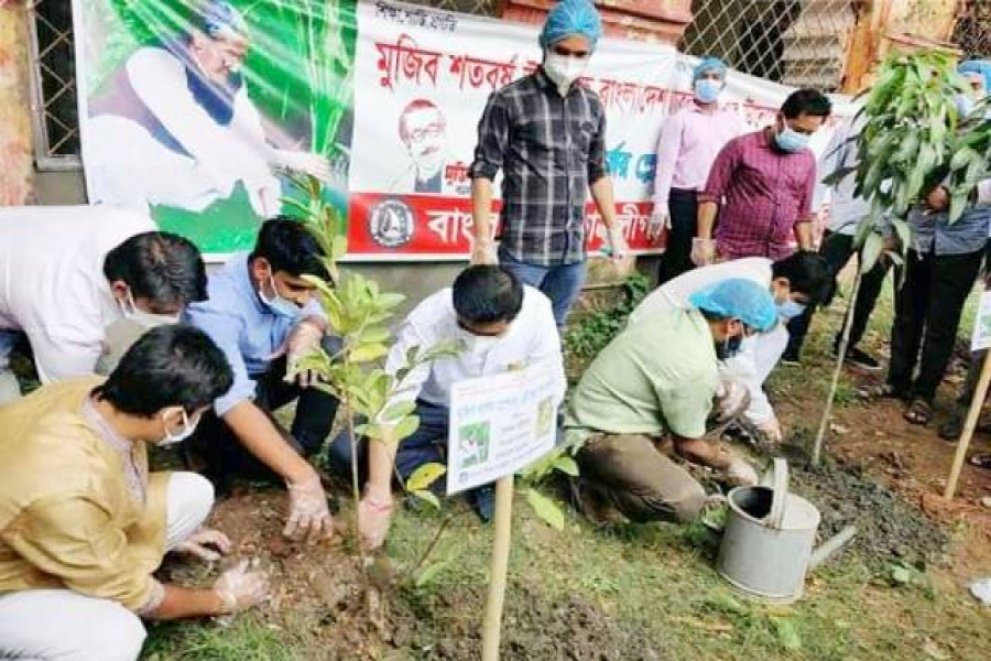 বৃক্ষরোপন করছেন ছাত্রলীগ নেতারা