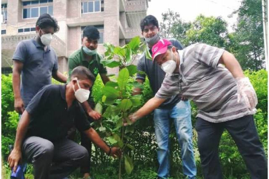 ক্যাম্পাসে বৃক্ষরোপণ করেছে মাভাবিপ্রবি