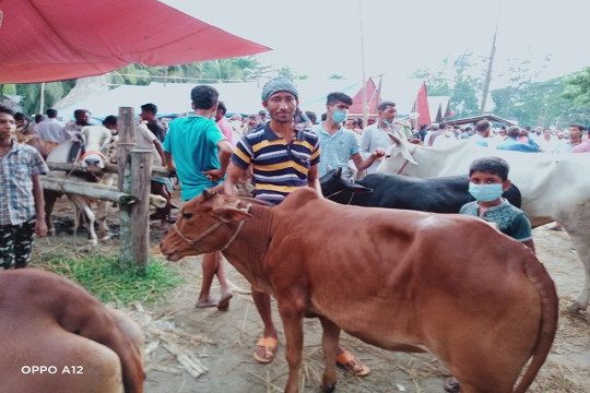 লক্ষ্মীপুরে জমছে হাট, উপেক্ষিত স্বাস্থ্যবিধি