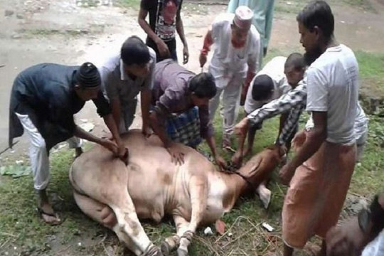 কোরবানির পশু জবাই করার নিয়ম-দোয়া