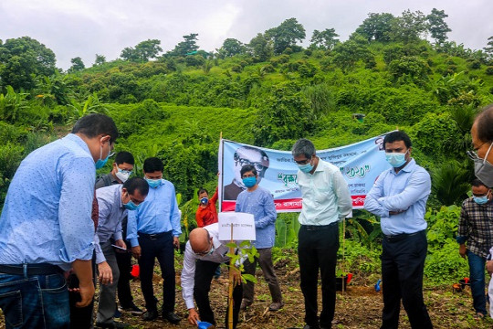 মুজিববর্ষ উপলক্ষে ক্যাম্পাসে বৃক্ষরোপন করেছে রাবিপ্রবি