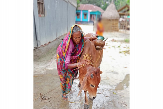 দৃষ্টিভঙ্গির পরিবর্তনই জীবনকে সুন্দর করতে পারে