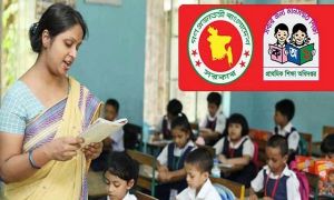 প্রাথমিকের সহকারী শিক্ষক পদে আবেদনে ৬ সাবধানতা