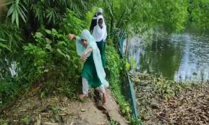 শিক্ষার্থীদের যাতায়াতের রাস্তা ঝুঁকিপূর্ণ, দুর্ঘটনার শঙ্কা (ভিডিও)