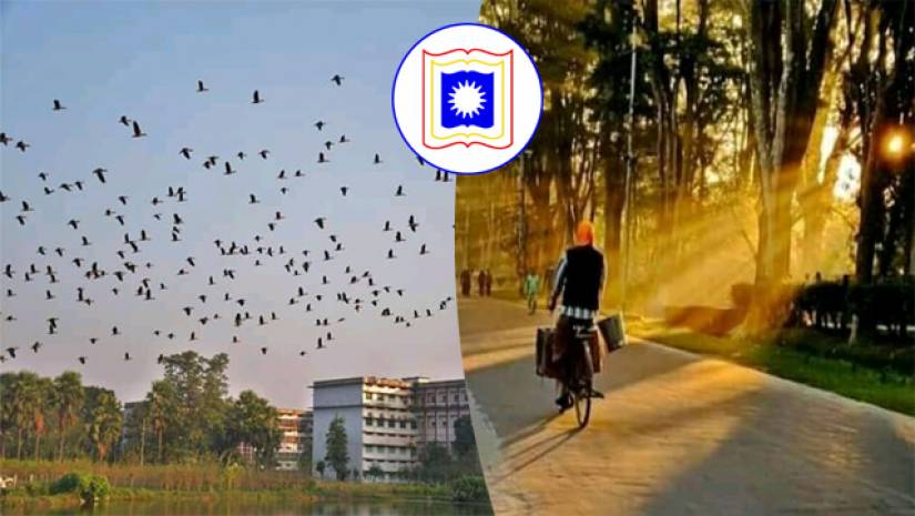রাবি ক্যাম্পাসে হেমন্তের সাজ