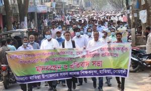 নোয়াখালীতে ইউএনওর অপসারণ দাবিতে শিক্ষকদের বিক্ষোভ