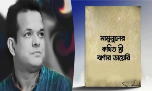 একটি অসুন্দর ডায়েরি!