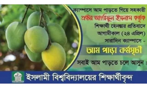 শিক্ষার্থী লাঞ্ছনার প্রতিবাদ, ইবির বন্ধ ক্যাম্পাসে ‘আম পাড়া কর্মসূচি’