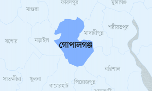 মামুনুলের পক্ষে মন্তব্য করায় ছাত্রলীগের ৩ নেতা বহিষ্কার`