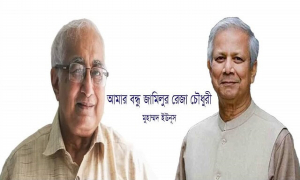 আমার বন্ধু জামিলুর রেজা চৌধুরী