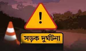 হাসপাতাল থেকে বাড়ি ফেরার পথে প্রাণ গেল স্বামী-স্ত্রীর