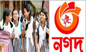 উপবৃত্তি টাকার প্রতারণা ঠেকাতে ১৫ দিন বন্ধ থাকবে সেন্ড মানি অপশন