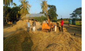 ধান মাড়াই করতে গিয়ে প্রাথমিকের শিক্ষকের মৃত্যু