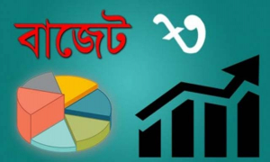 ৫০ বছরের ইতিহাসে সর্বোচ্চ ঘাটতির বাজেট উত্থাপন শুরু