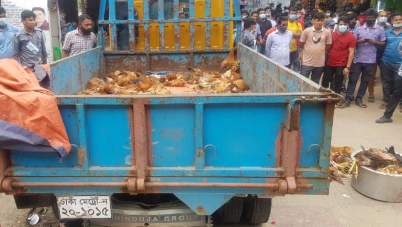 রাজধানীর বিমানবন্দর এলাকা থেকে মৃত মুরগিগুলো উদ্ধার করা হয়