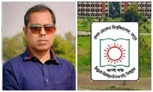 আর্টিকেল কপি করায় গুগল স্কলারের লাল তালিকায় বেরোবি শিক্ষক