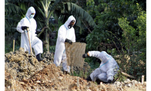 রাজশাহী ও সাতক্ষীরায় ২৪ ঘণ্টায় ৩৬ জনের মৃত্যু