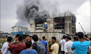 প্রধানমন্ত্রী বিষয়টি দেখছেন, কাউকে ছাড় দেয়া হবে না: কাদের