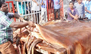 কোরবানির পশুর চামড়া কওমি মাদ্রাসায় না দেওয়ার আহ্বান