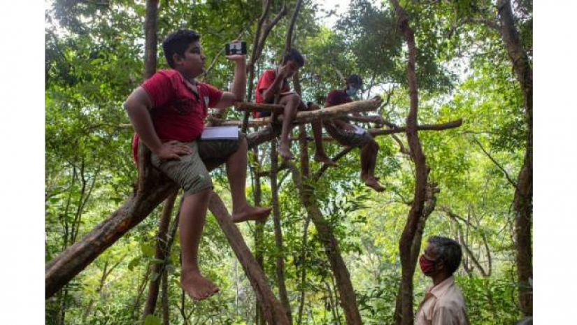 মোবাইলের নেটওয়ার্ক পেতে গাছে চড়ে বসছে শিশুরা