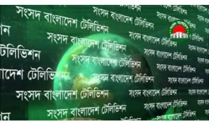 শিক্ষার্থীদের অ্যাসাইনমেন্ট নিয়ে জরুরি নির্দেশনা সংসদ টেলিভিশনে