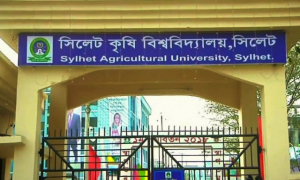 সিকৃবিতে অনলাইনে ফাইনাল পরীক্ষা শুরু