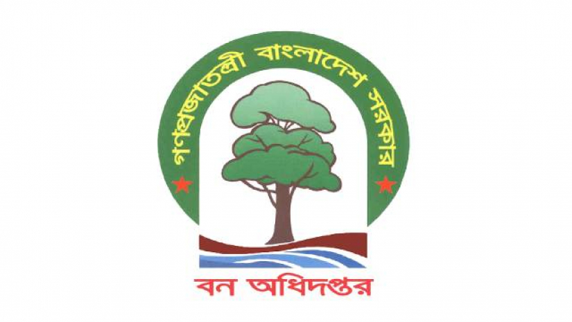 বন বিভাগ