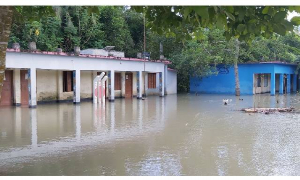 ফরিদপুরে ৫০টি স্কুলে বন্যার পানি; পাঠদান শুরু নিয়ে শঙ্কা