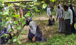 শিক্ষার্থীরাই তৈরি করছেন কলেজের কৃষি খামার