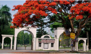 ফি দিতে ভোগান্তি, অটোমেশনের দাবি ইবি শিক্ষার্থীদের