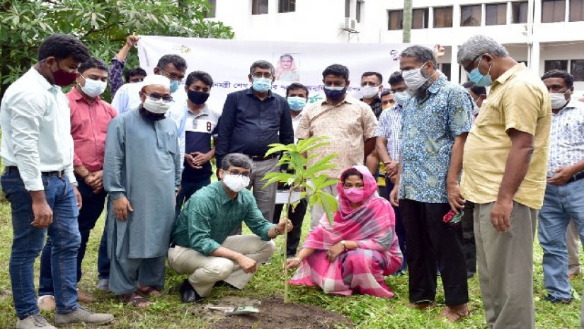 প্রধানমন্ত্রীর জন্মদিন উপলক্ষে বৃক্ষরোপণ করছেন উপাচার্য অধ্যাপক ড. মাহমুদ হোসেন