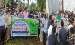 ইবিতে গাছ লাগিয়ে কেক কেটে প্রধানমন্ত্রীর জন্মদিন পালন