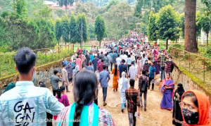 চবিতে ঢাবি’র ঘ ইউনিটে অনুপস্থিতি ৩০.৬৪ শতাংশ